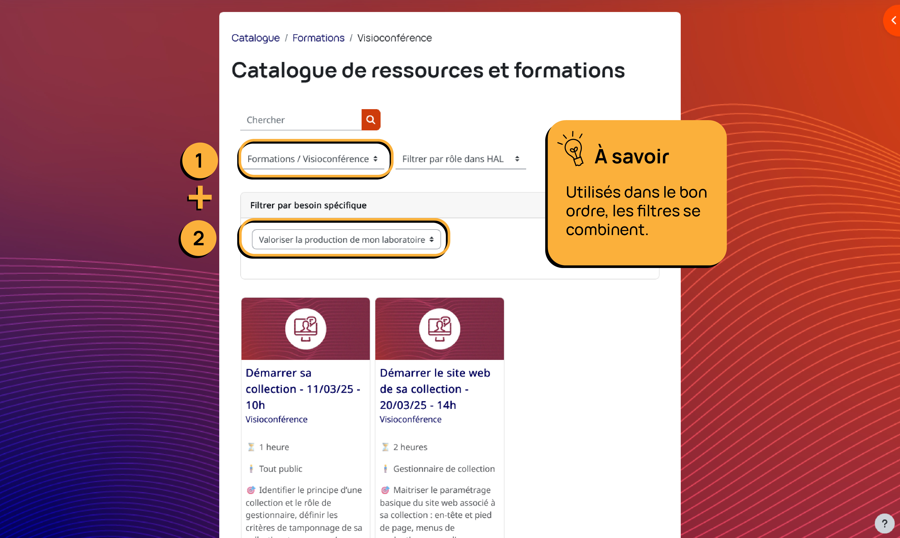 Copie d'écran catalogue - Combinaison des filtres