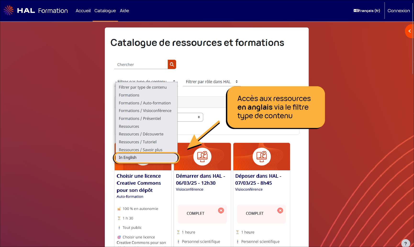 Capture d'écran catalogue en anglais - Accès aux ressources en anglais